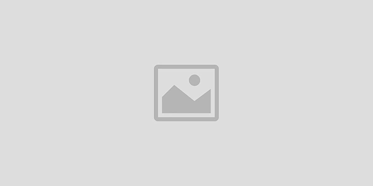 DEV INFOSYSTEM